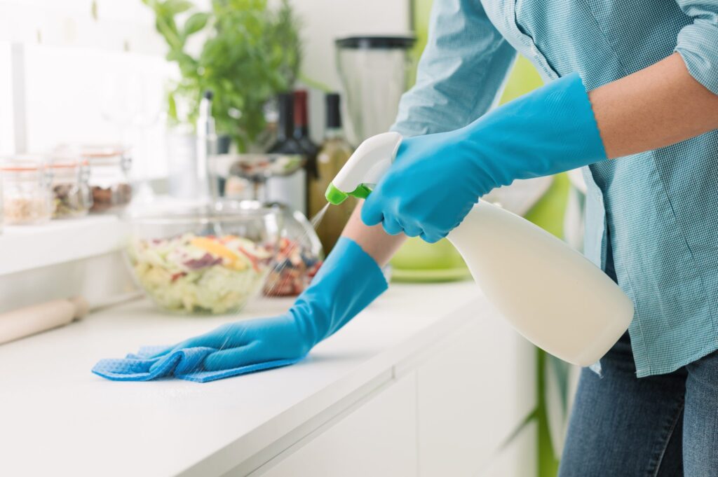 Professional Cleaning Experts