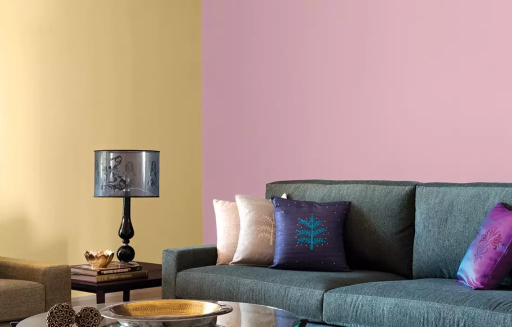 Home Painter and Decorator